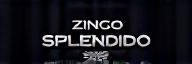Logo ZincoSplendido